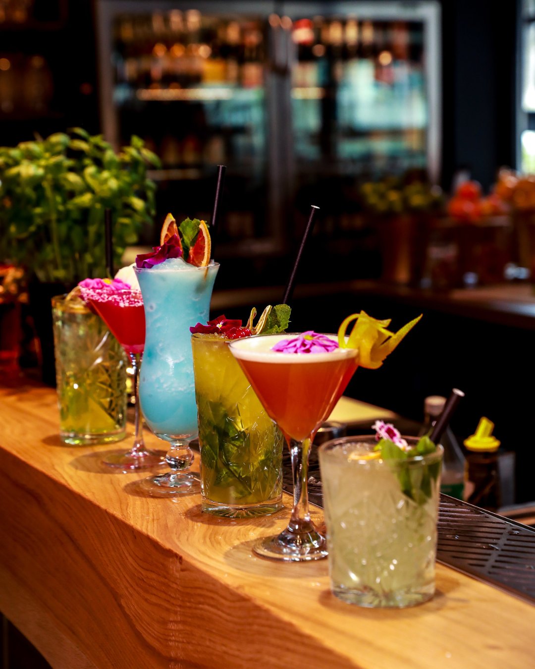 Caroussel coby website (81)