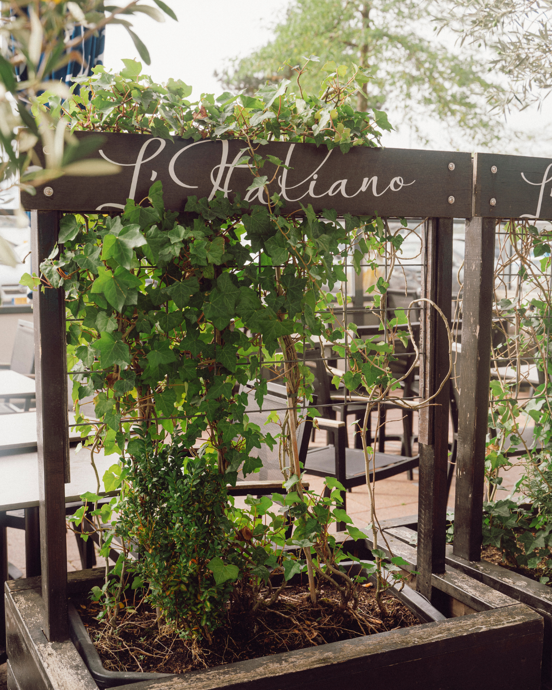 Caroussel coby website - 2026-03-10T131140.951